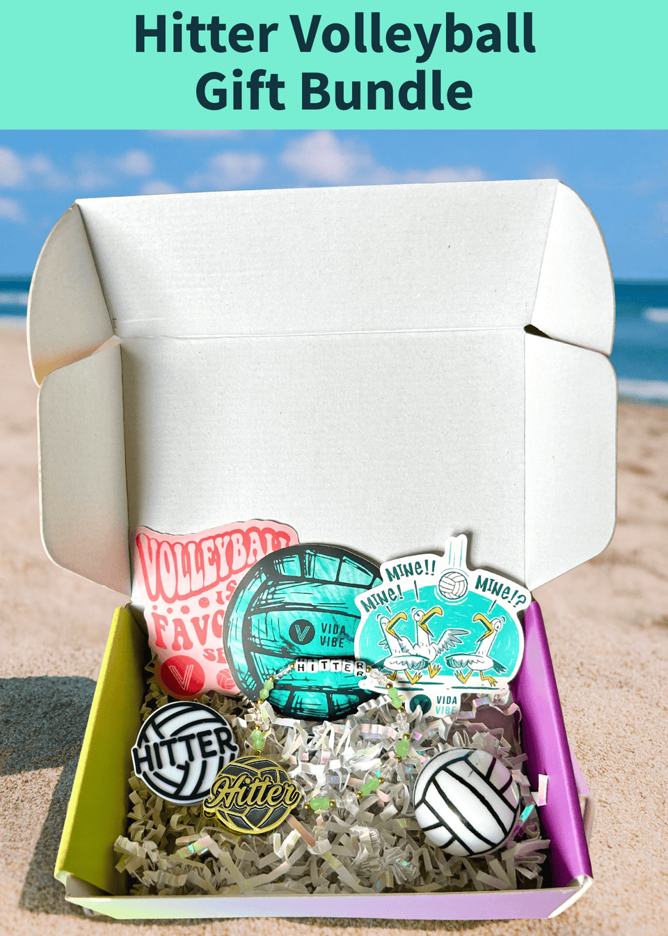 Hitter Volleyball Gift Bundle